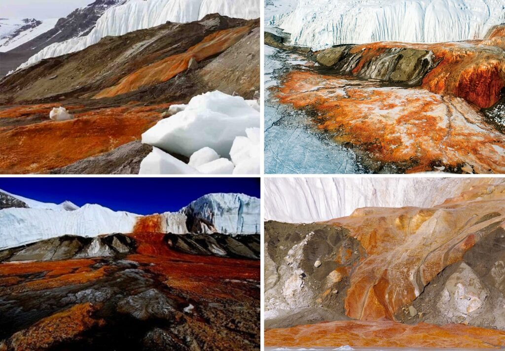 The Blood Falls of Antarctica 1