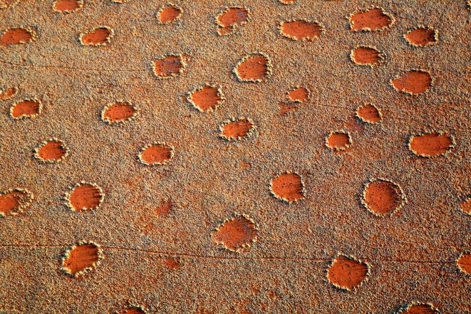 The Fairy Circles of Namibia  1