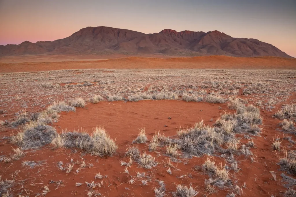 The Fairy Circles of Namibia  2